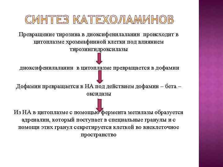 Превращение тирозина в диоксифенилаланин происходит в цитоплазме хроммафинной клетки под влиянием тирозингидроксилазы диоксифенилаланин в