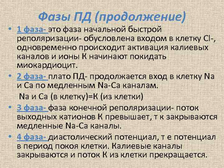Фазы ПД (продолжение) • 1 фаза- это фаза начальной быстрой реполяризации- обусловлена входом в