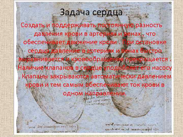 Задача сердца Создать и поддерживать постоянную разность давления крови в артериях и венах ,