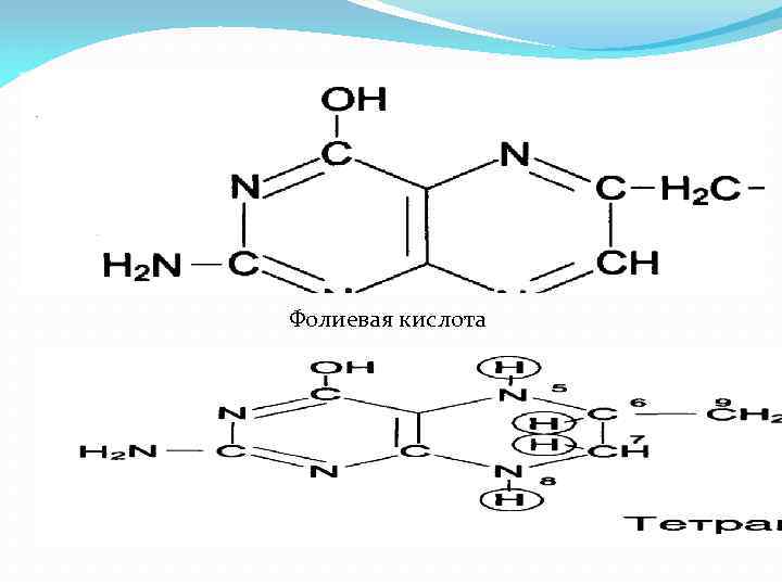  Фолиевая кислота 