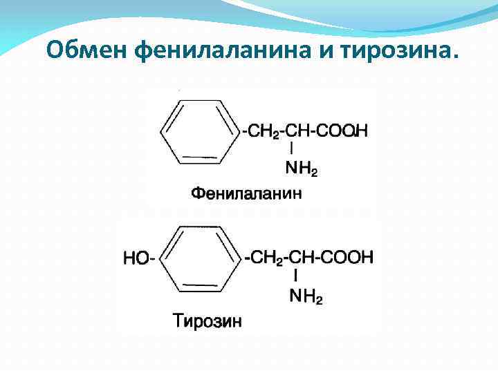 Обмен фенилаланина и тирозина. 