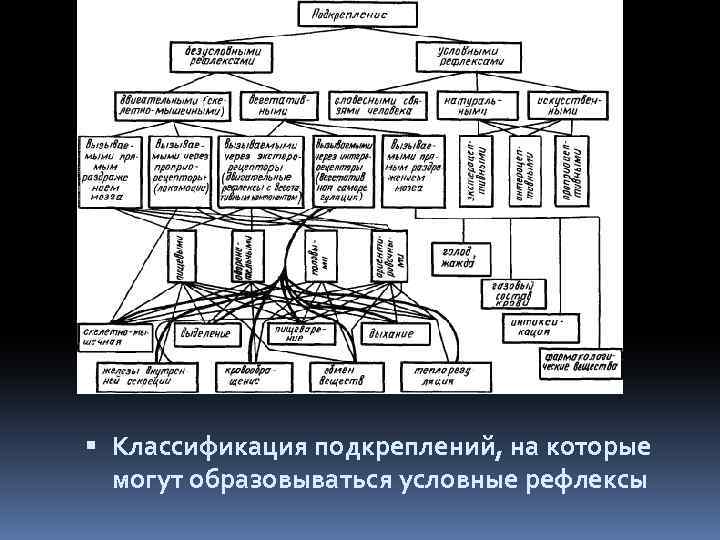  Классификация подкреплений, на которые могут образовываться условные рефлексы 