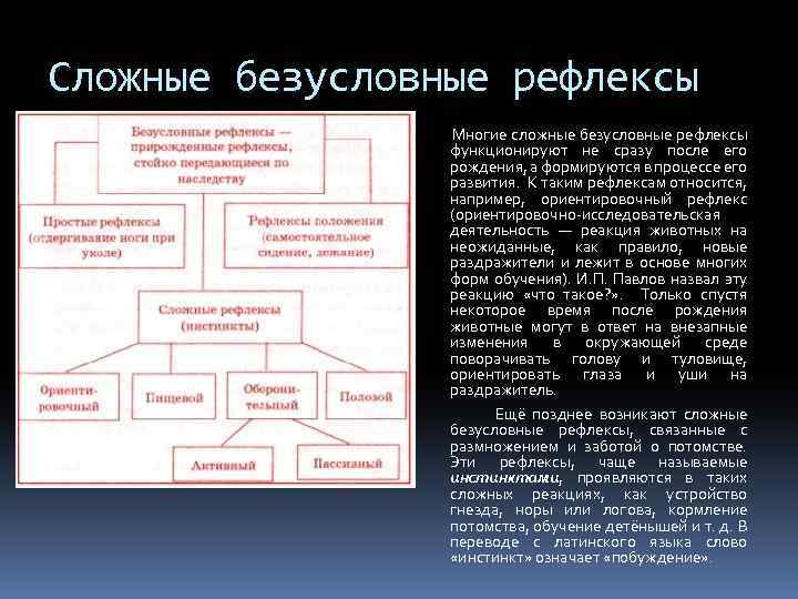Сложные безусловные рефлексы Многие сложные безусловные рефлексы функционируют не сразу после его рождения, а