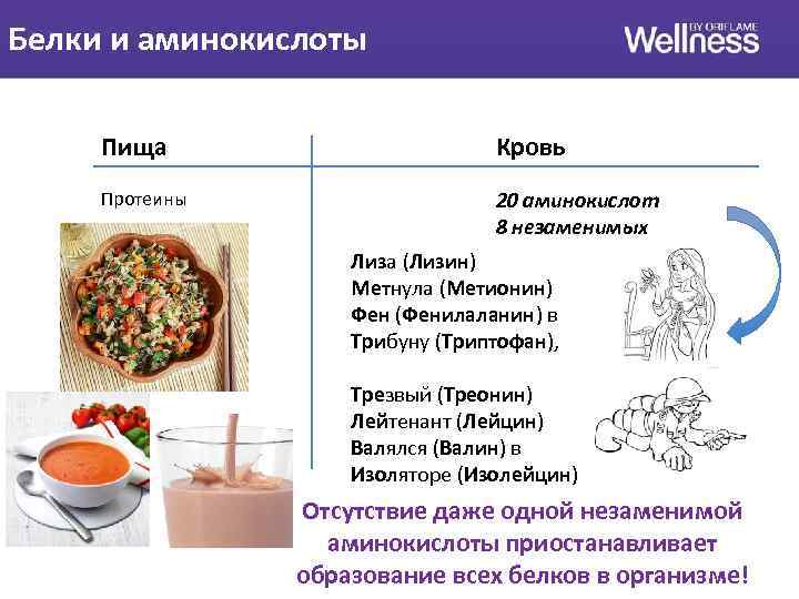 Белки и аминокислоты картинка