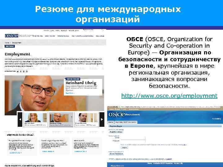 Резюме для международных организаций ОБСЕ (OSCE, Organization for Security and Co-operation in Europe) —