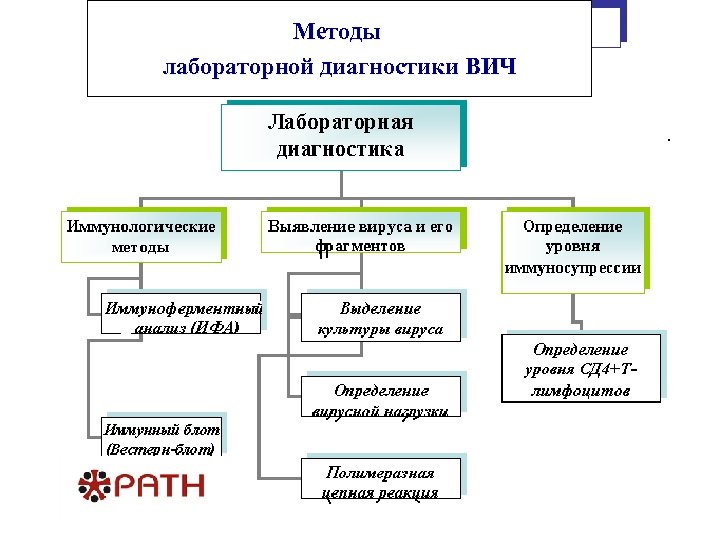 Методы лабораторной диагностики. Метод лабораторной диагностики ВИЧ. Алгоритм лабораторной диагностики. 8. Методы лабораторной диагностики на ВИЧ. Лабораторная диагностика разделы pdf.