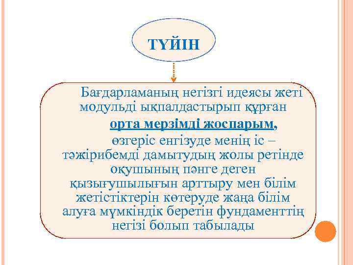 ТҮЙІН Бағдарламаның негізгі идеясы жеті модульді ықпалдастырып құрған орта мерзімді жоспарым, өзгеріс енгізуде менің