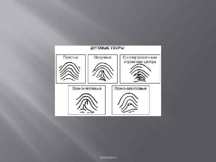 трасология 