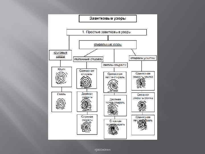 трасология 