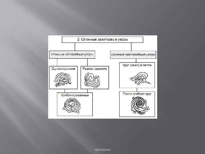 трасология 