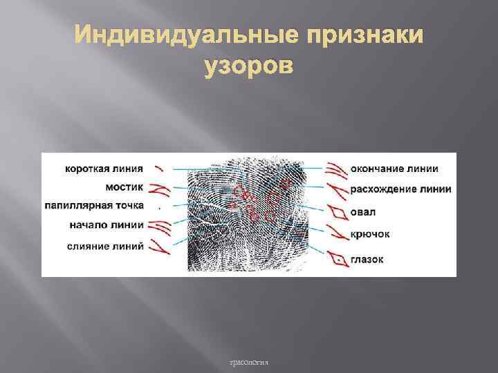 Группы частных признаков. Трасология в криминалистике. Частные признаки в трасологии. Признаки разрыва в трасологии. Вид переплетения трасология.