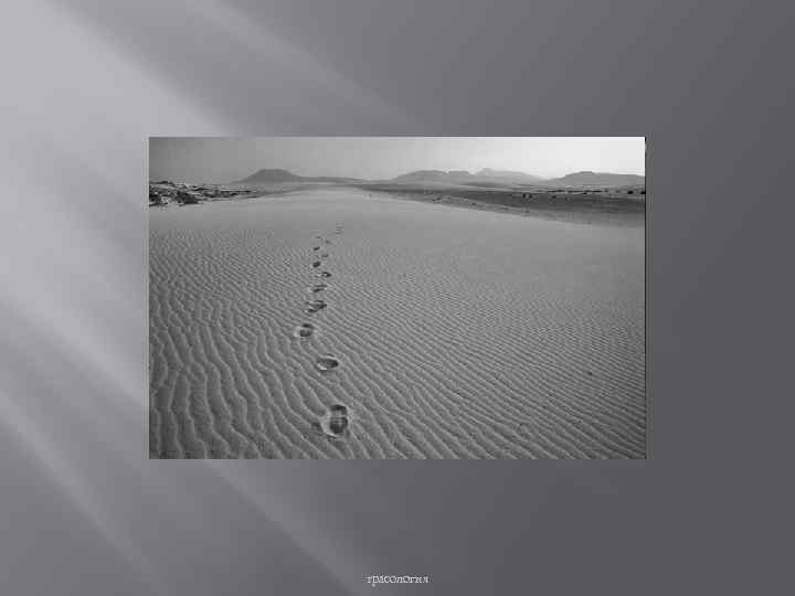 трасология 