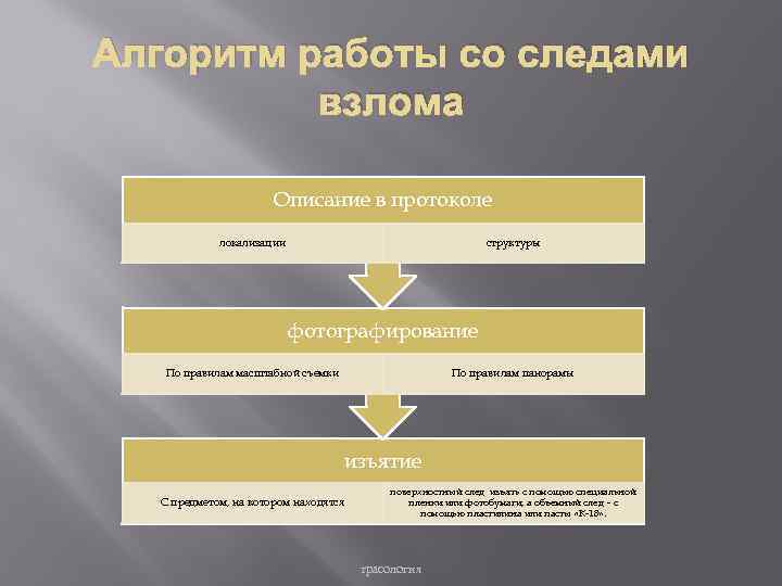 Алгоритм работы со следами взлома Описание в протоколе локализации структуры фотографирование По правилам масштабной