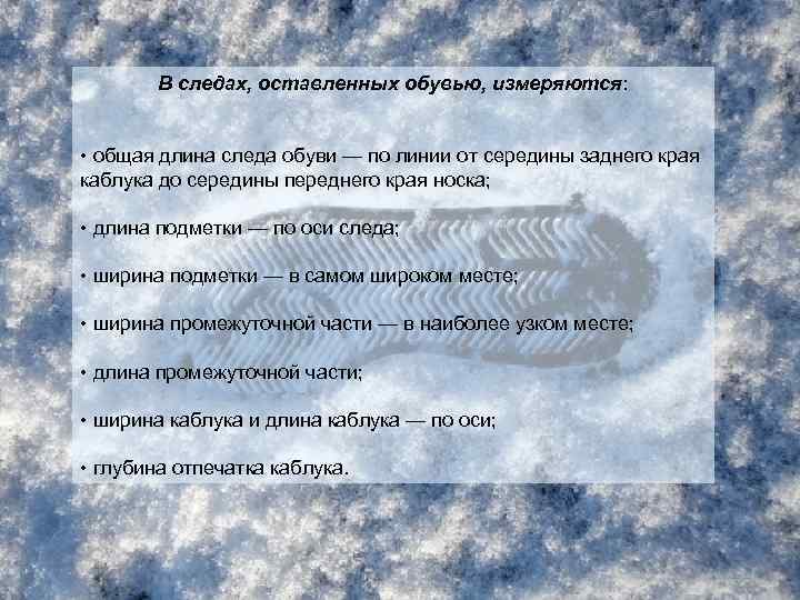 В следах, оставленных обувью, измеряются: • общая длина следа обуви — по линии от