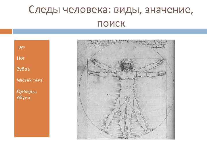 Следы человека: виды, значение, поиск рук Ног Зубов Частей тела Одежды, обуви 