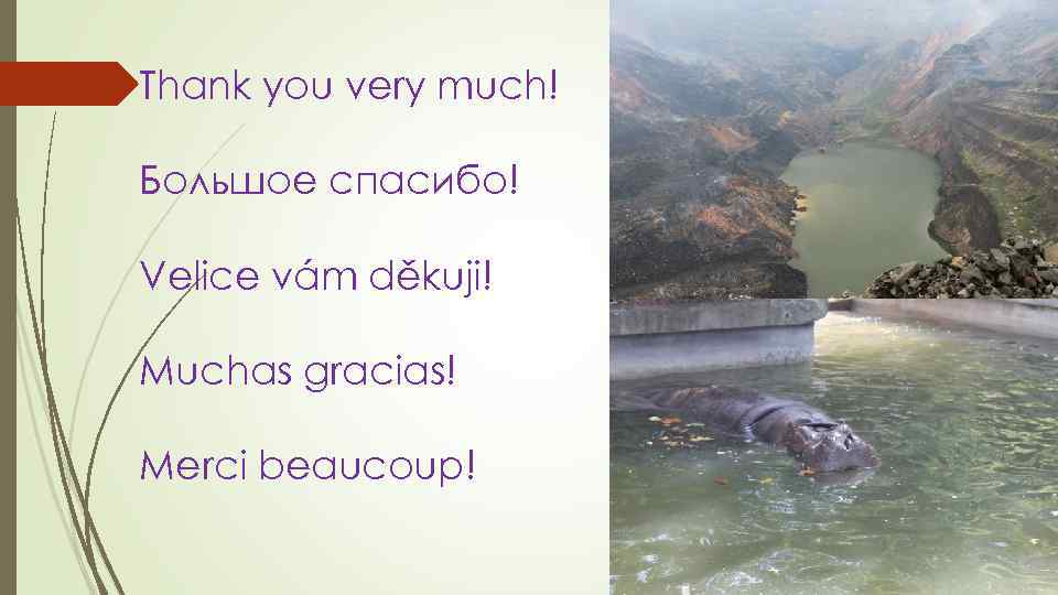 Thank you very much! Большое спасибо! Velice vám děkuji! Muchas gracias! Merci beaucoup! 