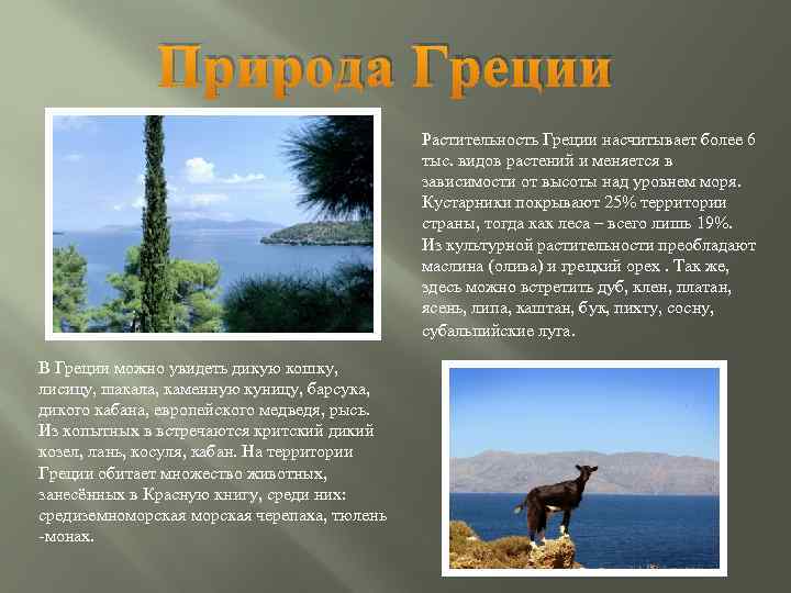 Природа Греции Растительность Греции насчитывает более 6 тыс. видов растений и меняется в зависимости
