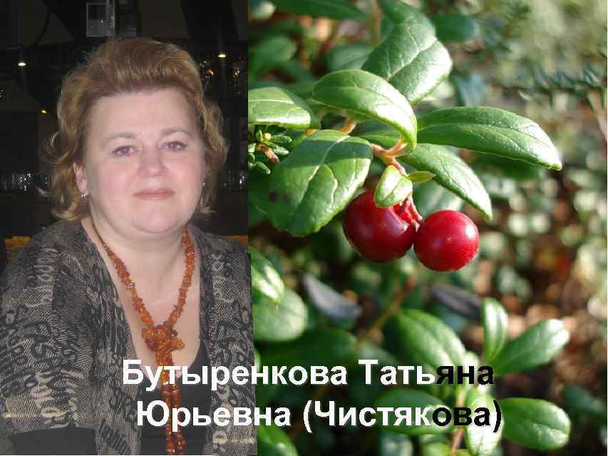 Бутыренкова Татьяна Юрьевна (Чистякова) 