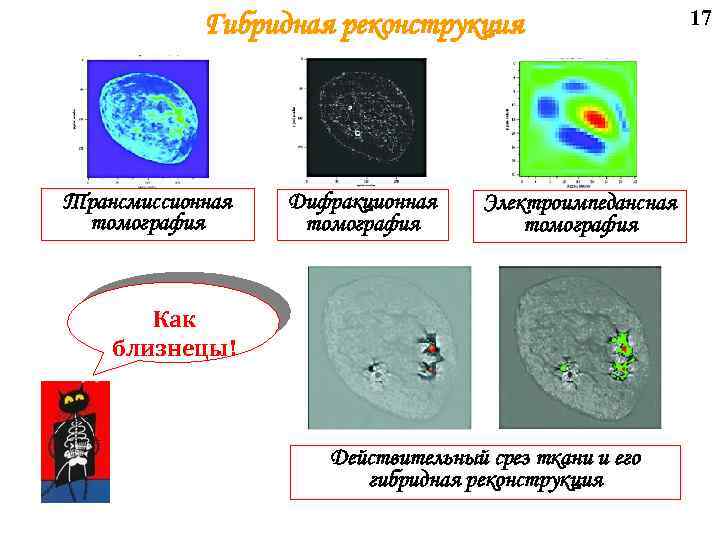 Гибридная реконструкция Трансмиссионная томография Дифракционная томография Электроимпедансная томография Как близнецы! Действительный срез ткани и