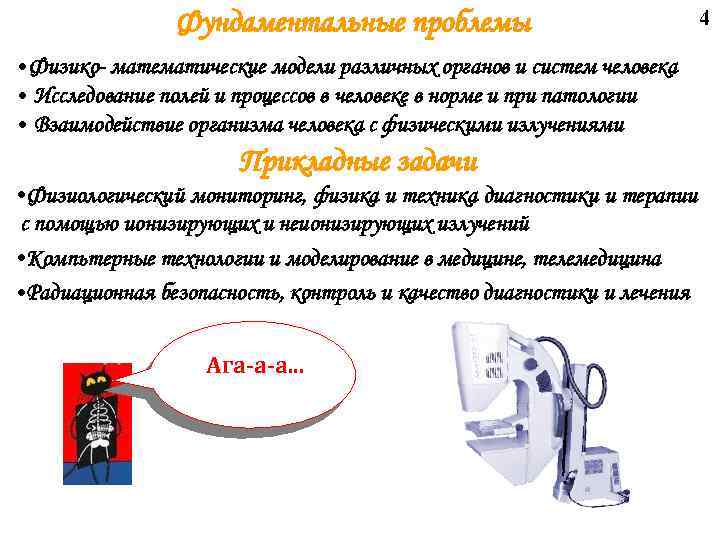 Фундаментальные проблемы • Физико- математические модели различных органов и систем человека • Исследование полей