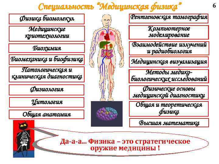 Специальность “Медицинская физика” Физика биомолекул Медицинские криотехнологии Биохимия Биомеханика и биофизика Патологическая и клиническая