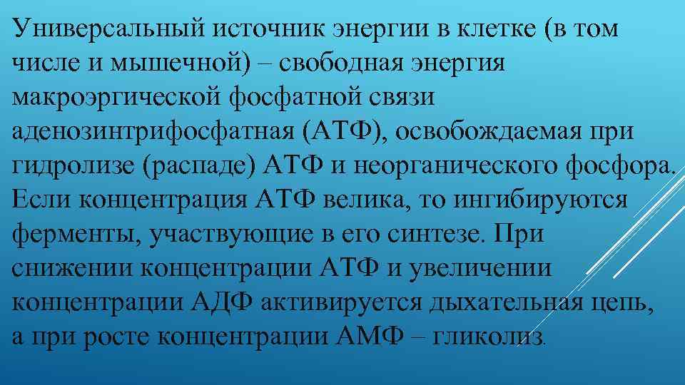 Универсальный источник энергии в клетке (в том числе и мышечной) – свободная энергия макроэргической