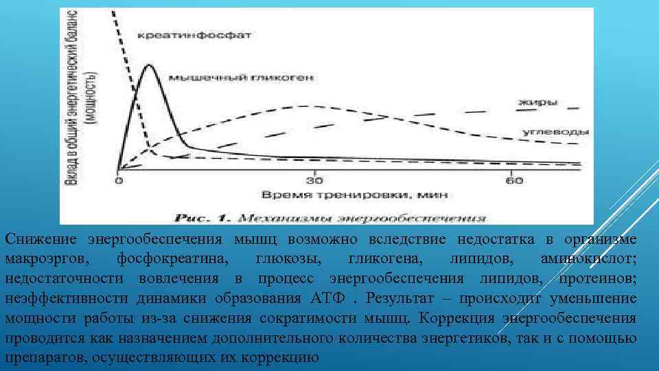 Снижение энергообеспечения мышц возможно вследствие недостатка в организме макроэргов, фосфокреатина, глюкозы, гликогена, липидов, аминокислот;
