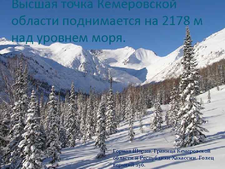 Высшая точка Кемеровской области поднимается на 2178 м над уровнем моря. Горная Шория. Граница