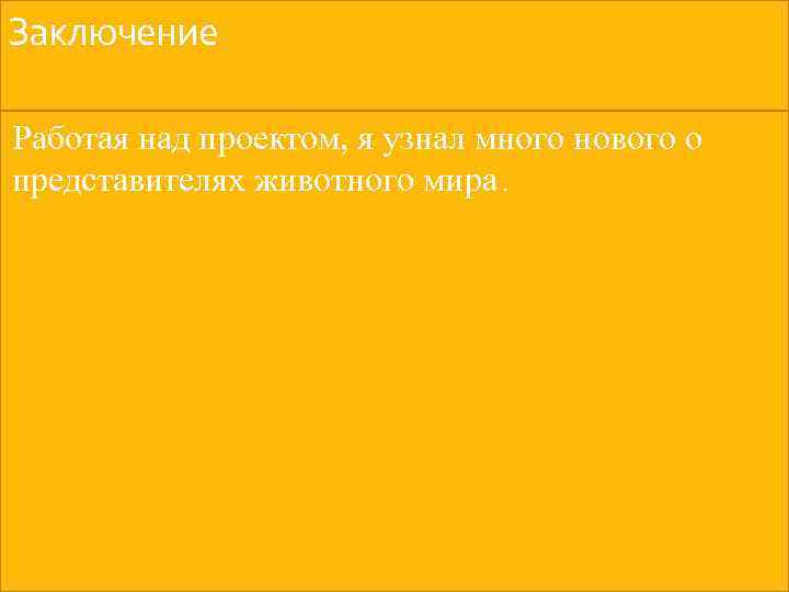 Заключение Работая над проектом, я узнал много нового о представителях животного мира. 