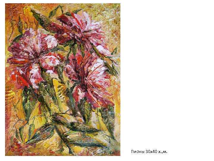 Пионы 30 х40 х. , м. 