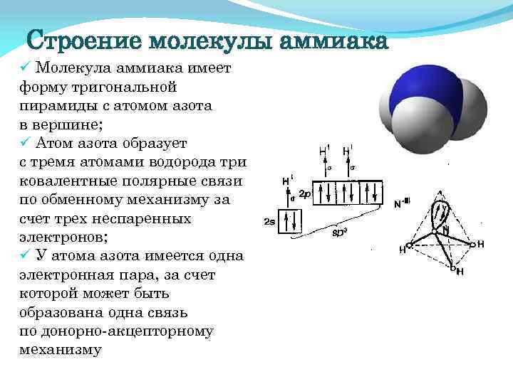Строение молекулы аммиака ü Молекула аммиака имеет форму тригональной пирамиды с атомом азота в
