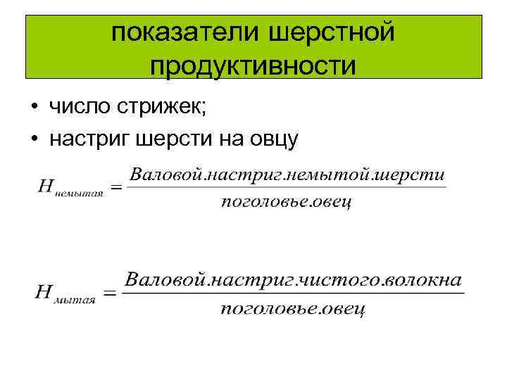 показатели шерстной продуктивности • число стрижек; • настриг шерсти на овцу 