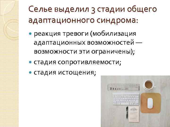 Селье выделил 3 стадии общего адаптационного синдрома: реакция тревоги (мобилизация адаптационных возможностей — возможности