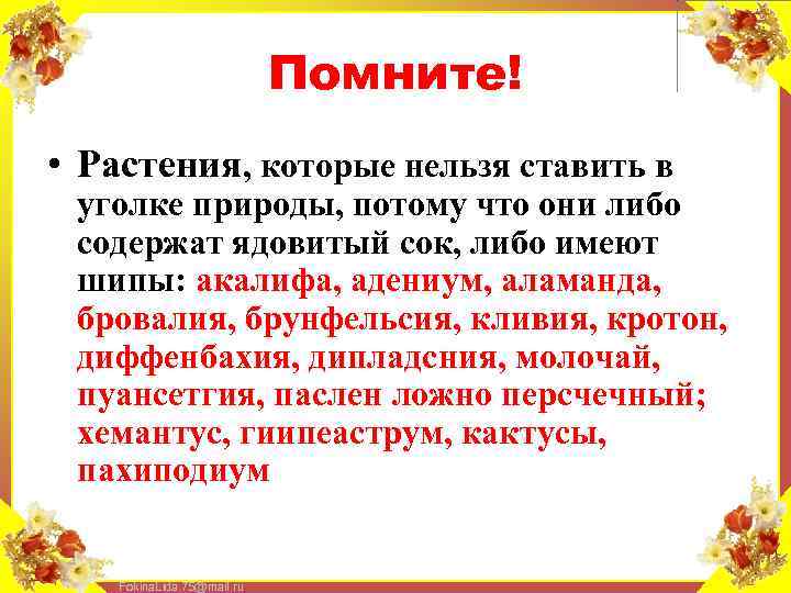 Помните! • Растения, которые нельзя ставить в уголке природы, потому что они либо содержат