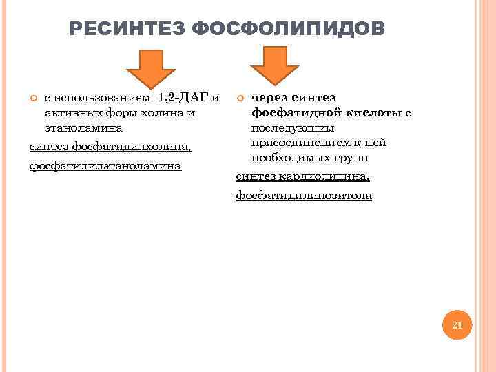 Ресинтез это. Ресинтез липидов биохимия. Ресинтез фосфолипидов. Глицерофосфолипиды ресинтез. Ресинтез фосфолипидов биохимия.