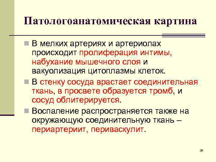 Патологоанатомическая картина n В мелких артериях и артериолах происходит пролиферация интимы, набухание мышечного слоя