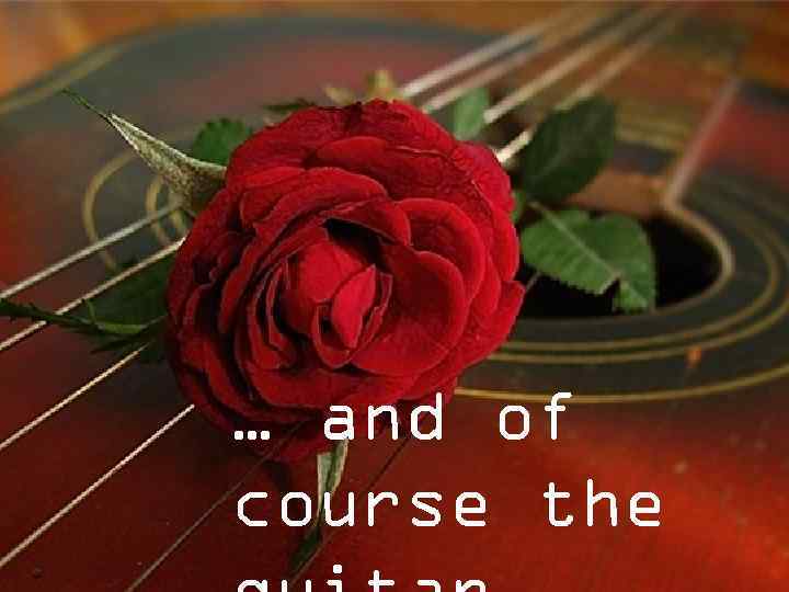 Surely, Spain Flamenco means corrida… … … and of course the 