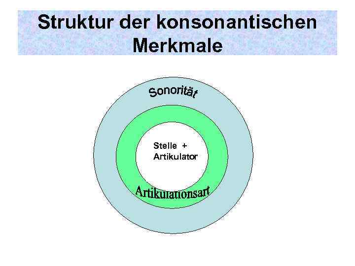 Struktur der konsonantischen Merkmale Stelle + Artikulator 