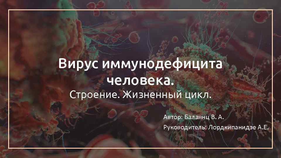 Вирус иммунодефицита человека. Строение. Жизненный цикл. Автор: Балаянц В. А. Руководитель: Лордкипанидзе А. Е.