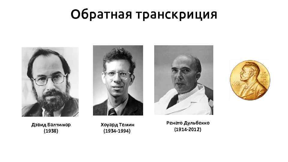Обратная транскриция Дэвид Балтимор (1938) Хоуард Темин (1934 -1994) Ренато Дульбекко (1914 -2012) 