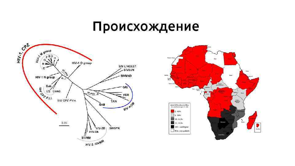 Происхождение 