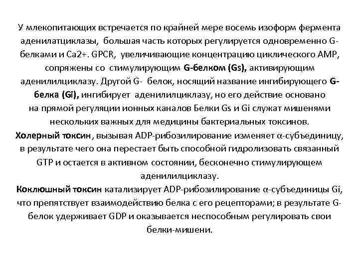 У млекопитающих встречается по крайней мере восемь изоформ фермента аденилатциклазы, большая часть которых регулируется