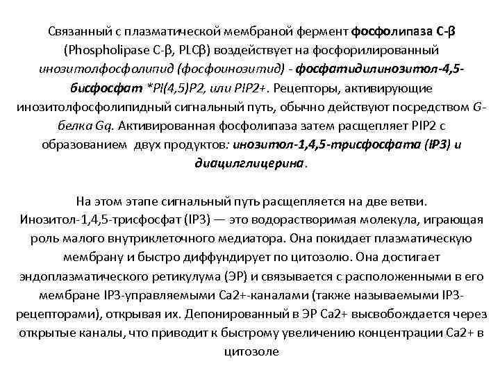 Связанный с плазматической мембраной фермент фосфолипаза C-β (Phospholipase C-β, PLCβ) воздействует на фосфорилированный инозитолфосфолипид