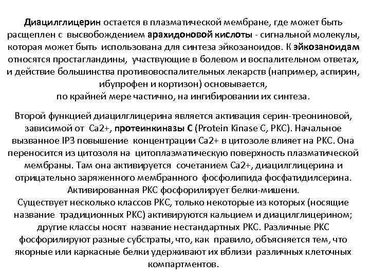 Диацилглицерин остается в плазматической мембране, где может быть расщеплен с высвобождением арахидоновой кислоты -