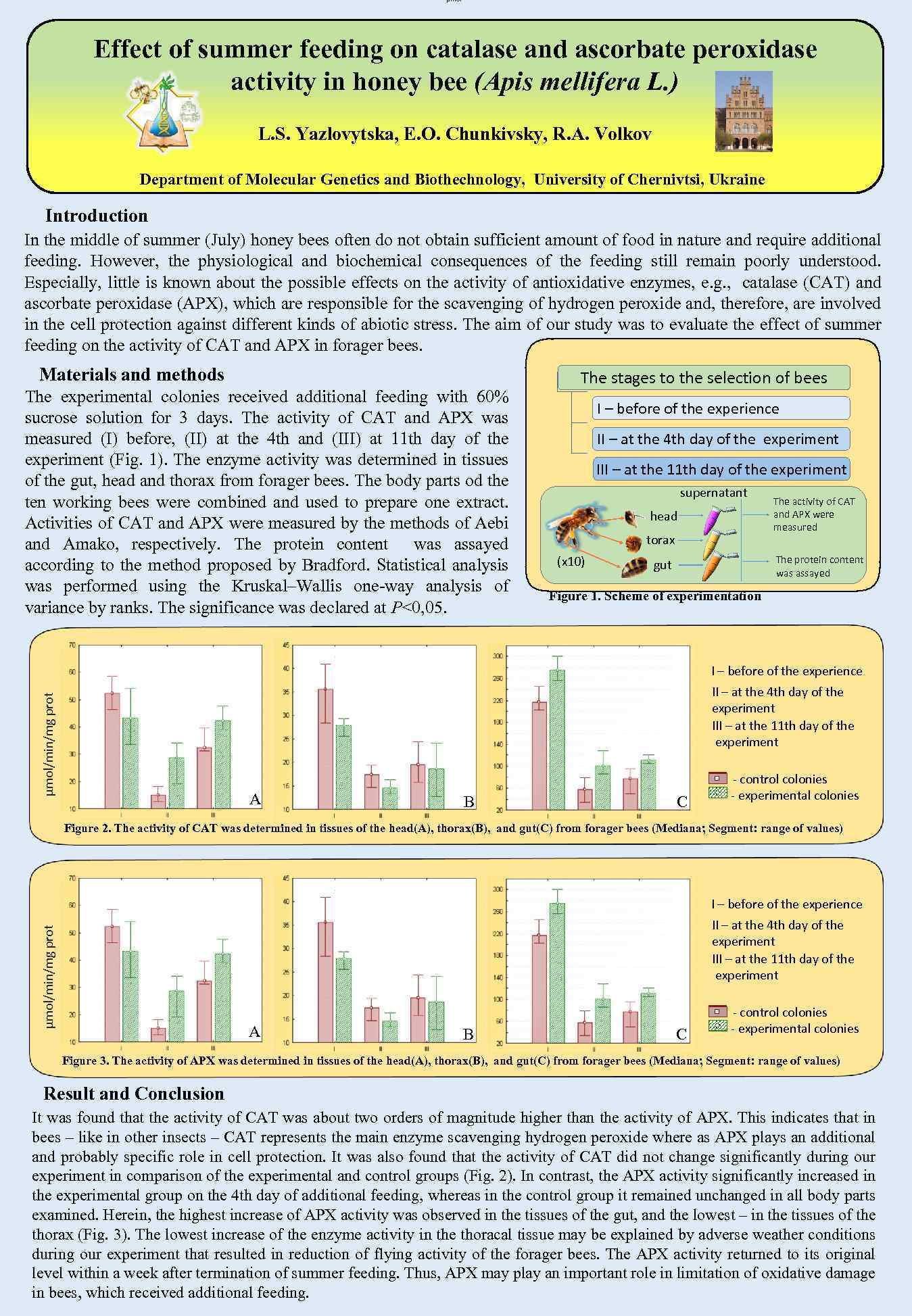 µmol Effect of summer feeding on catalase and ascorbate peroxidase activity in honey bee