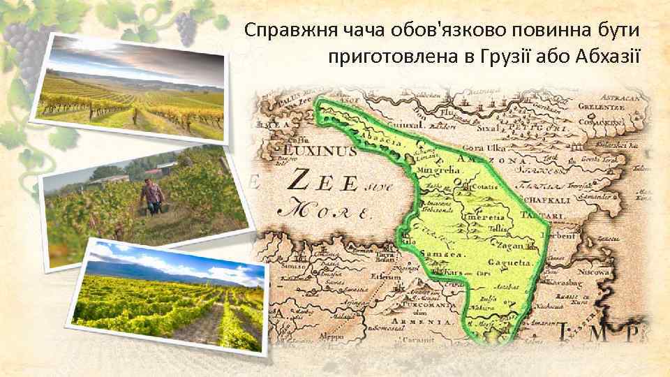 Справжня чача обов'язково повинна бути приготовлена в Грузії або Абхазії 