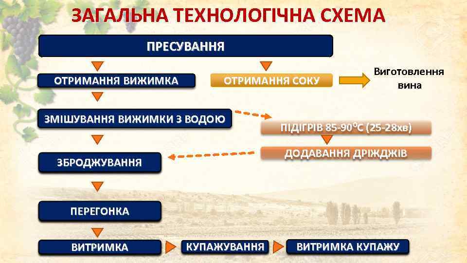 ЗАГАЛЬНА ТЕХНОЛОГІЧНА СХЕМА ПРЕСУВАННЯ ОТРИМАННЯ ВИЖИМКА ОТРИМАННЯ СОКУ ЗМІШУВАННЯ ВИЖИМКИ З ВОДОЮ Виготовлення вина