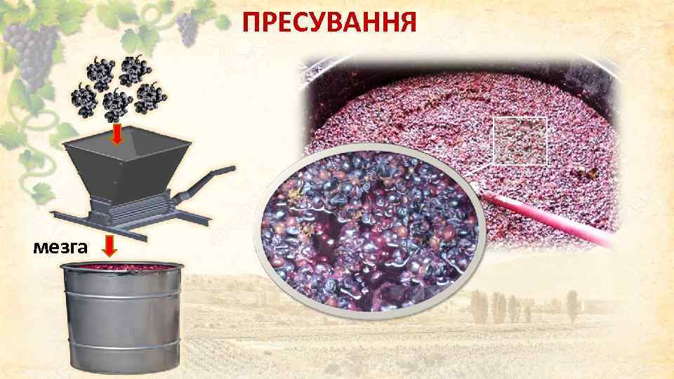 ПРЕСУВАННЯ мезга 