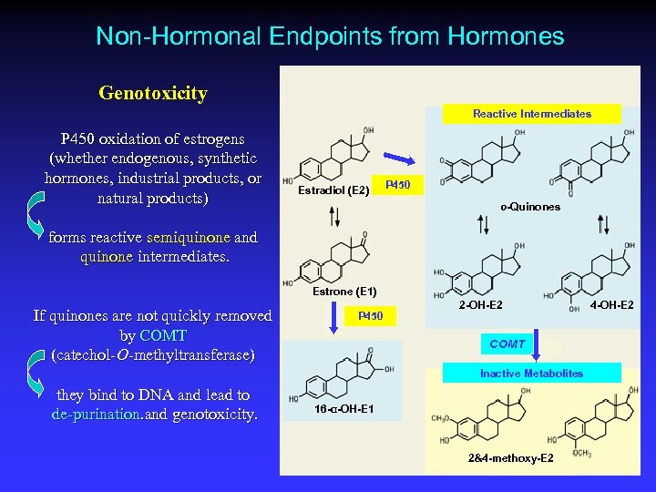 Non-Hormonal Endpoints from Hormones Genotoxicity Reactive Intermediates P 450 oxidation of estrogens (whether endogenous,