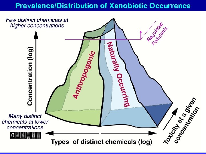 Re Po gu llu late ta d nt s Prevalence/Distribution of Xenobiotic Occurrence 